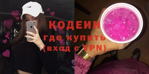 первитин Каменка