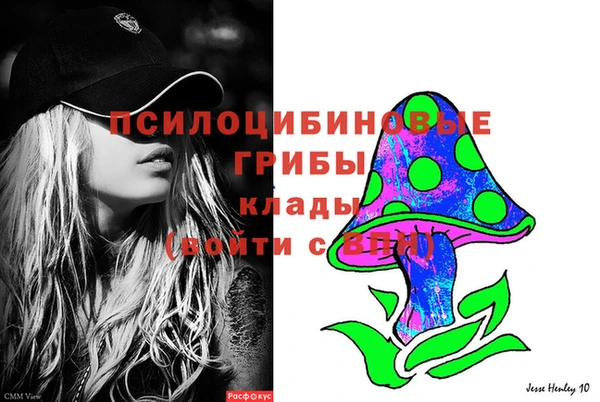 mdpv Касимов