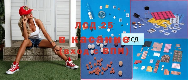 сатива Каменногорск