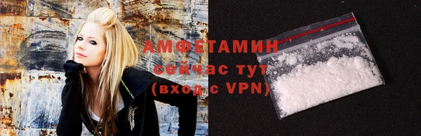 сатива Каменногорск