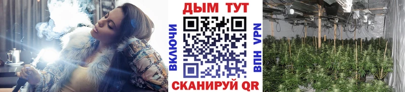 Бошки Шишки THC 21% Майский